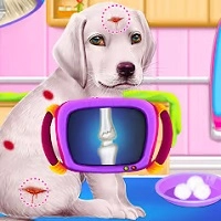 labrador_puppy_daycare_salon Spiele